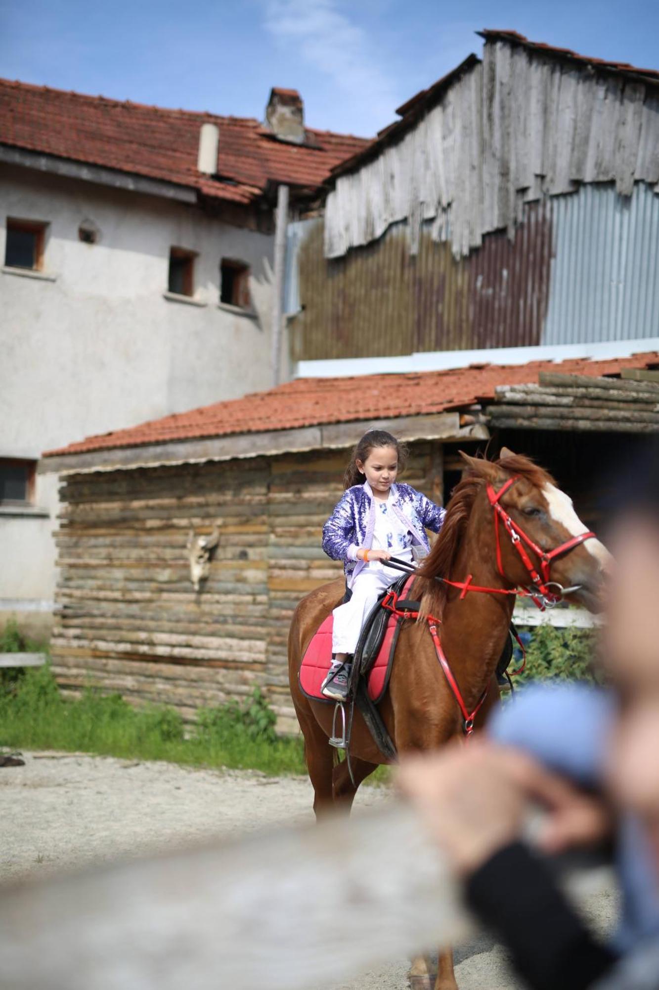 Abant Cozy Homes Bolu Extérieur photo